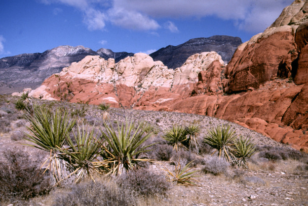 Photo: Nevada Tourism Office