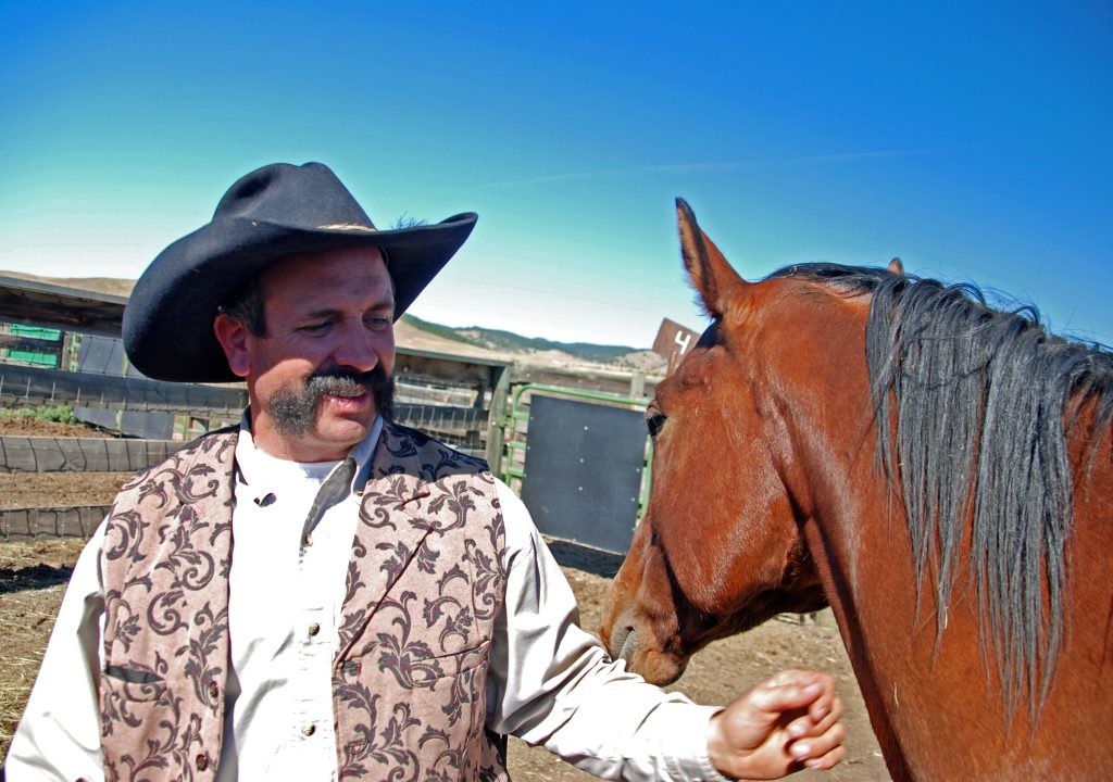 Buffalo Roundup