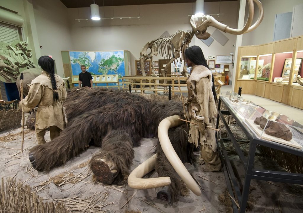 Mammutjagd in South Dakota 