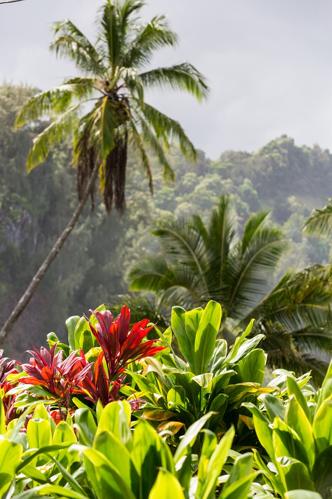 Kauai Island