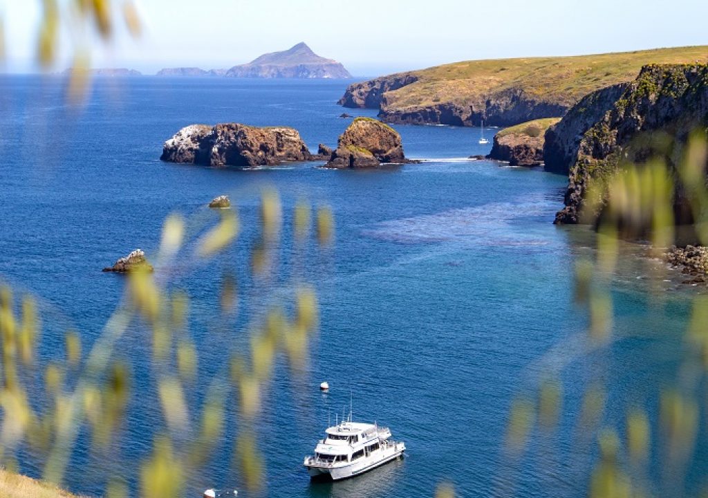 Inseln des Westens Santa Cruz Island