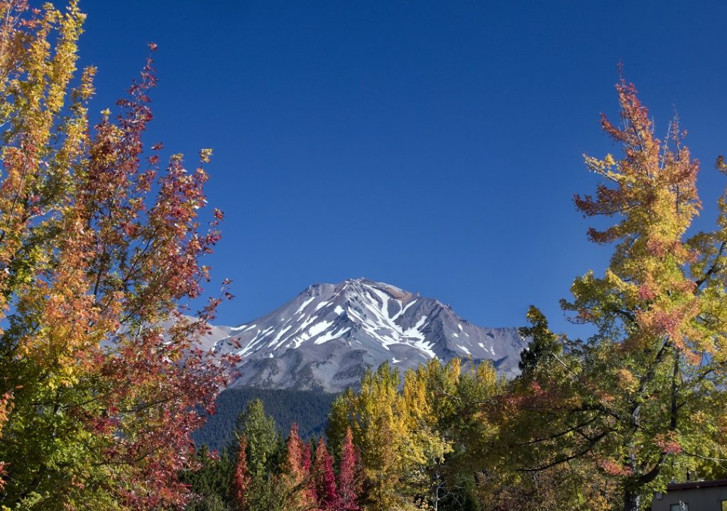 Shasta Cascade