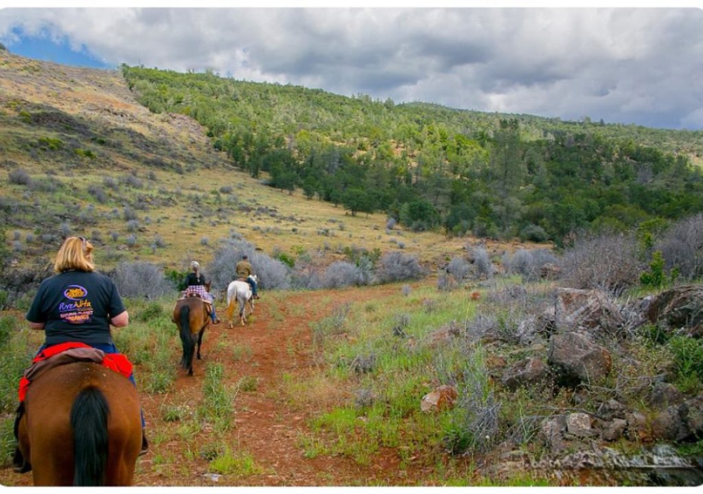 Shasta Cascade Trail Ride