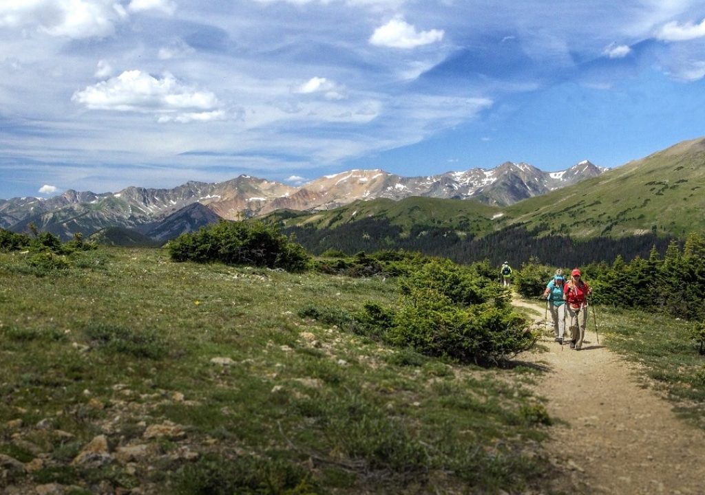 Ute Trail