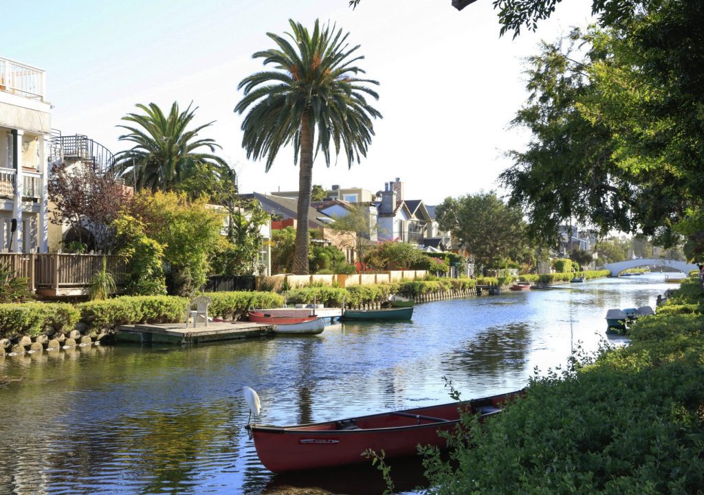 Palmen Venice Canals