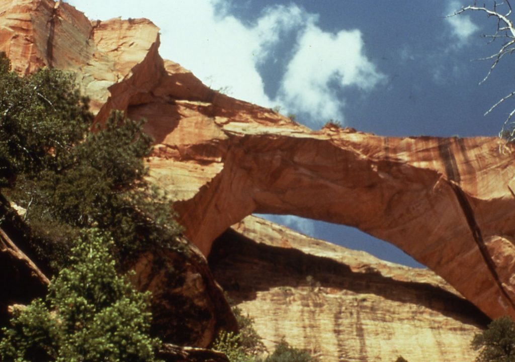 Zion Nationalpark Kolob Arch