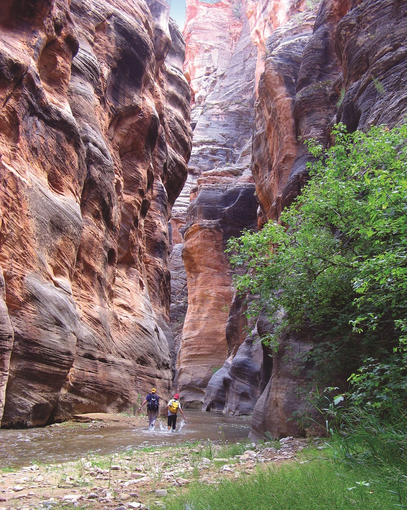 Slot Canyon in Zion National Park