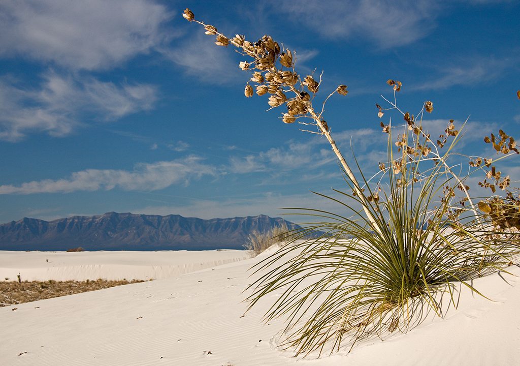 White Sands NP